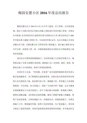 梅园总结杨晓峰.docx