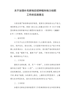 关于加强补充耕地后续种植和地力培肥工作的实施意见.docx