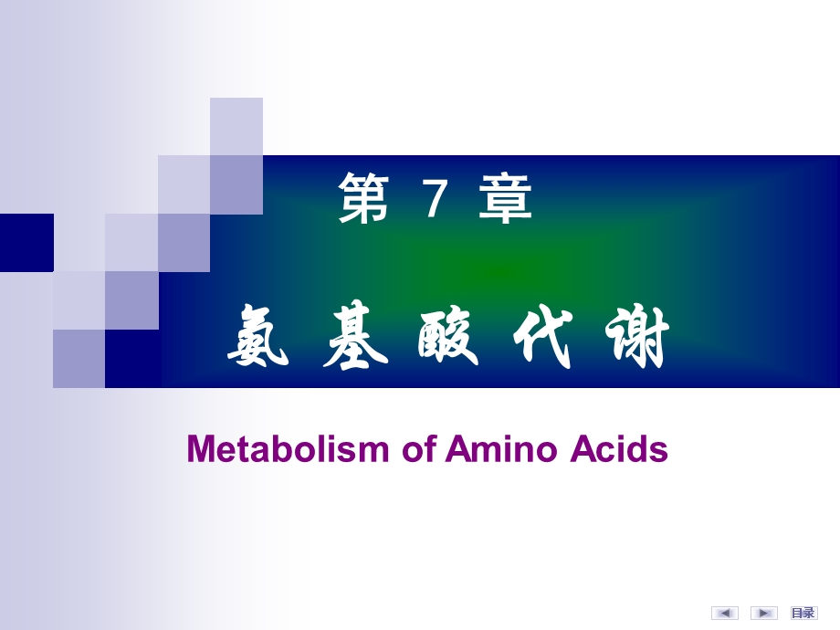 第07章氨基酸代谢7.ppt_第1页