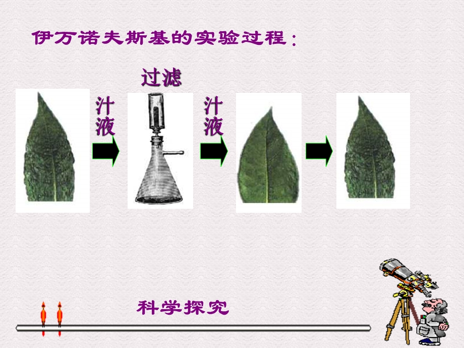 病毒与人类的关系名师编辑PPT课件.ppt_第3页