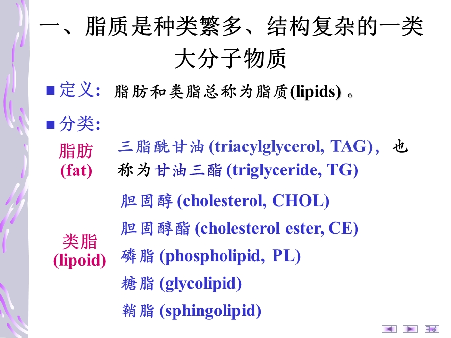 第07章脂质代谢.ppt_第3页