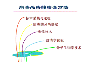 病毒感染的检查方法名师编辑PPT课件.ppt