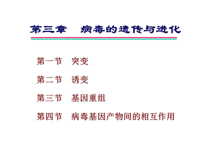 病毒的遗传与进化ch23.ppt