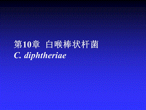 第10章棒状杆菌属.ppt