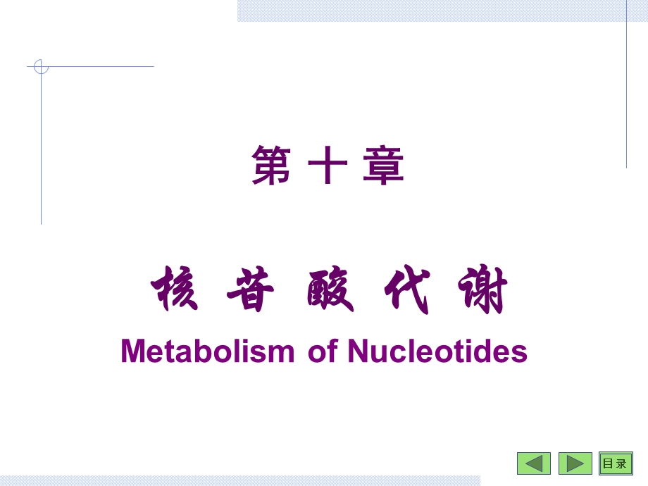 第08章核苷酸.ppt_第1页