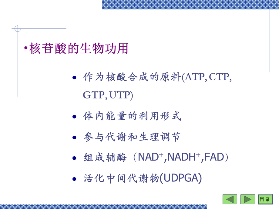 第08章核苷酸.ppt_第3页