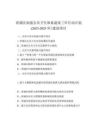 青浦区加强公共卫生体系建设三年行动计划2023-2025年建设项目.docx