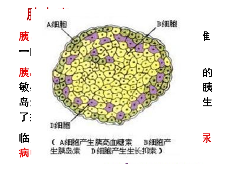 第12章食品与营养相关疾病4糖尿病名师编辑PPT课件.ppt_第3页