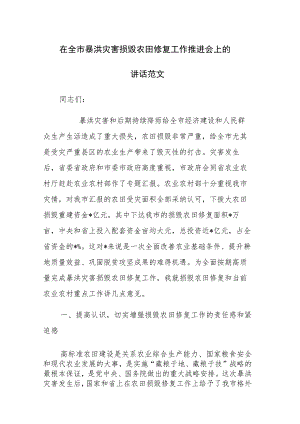 在全市暴洪灾害损毁农田修复工作推进会上的讲话范文.docx