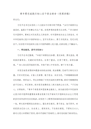 青年要忠诚践行初心 实干担当使命（党课讲稿）.docx