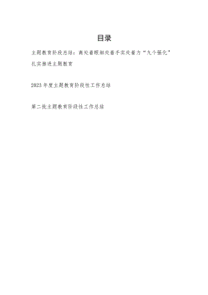 党委班子2023年度主题教育阶段性工作总结3篇（“学思想、强党性、重实践、建新功”的总要求）.docx