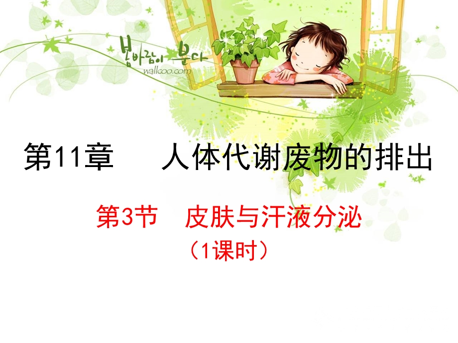 第11章人体代谢废物的排出名师编辑PPT课件.ppt_第1页