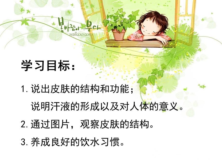 第11章人体代谢废物的排出名师编辑PPT课件.ppt_第2页