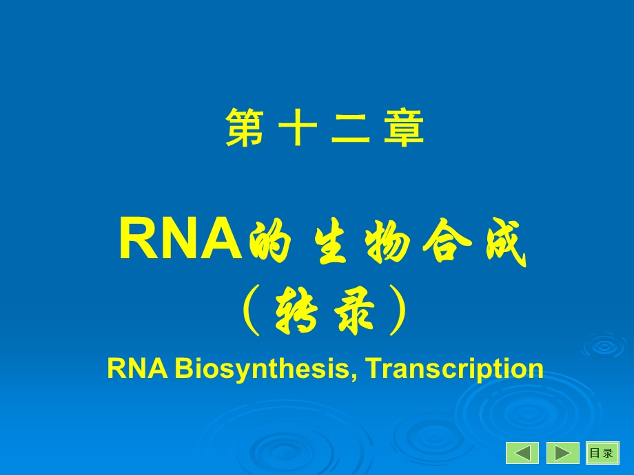 第12章转录.ppt_第1页