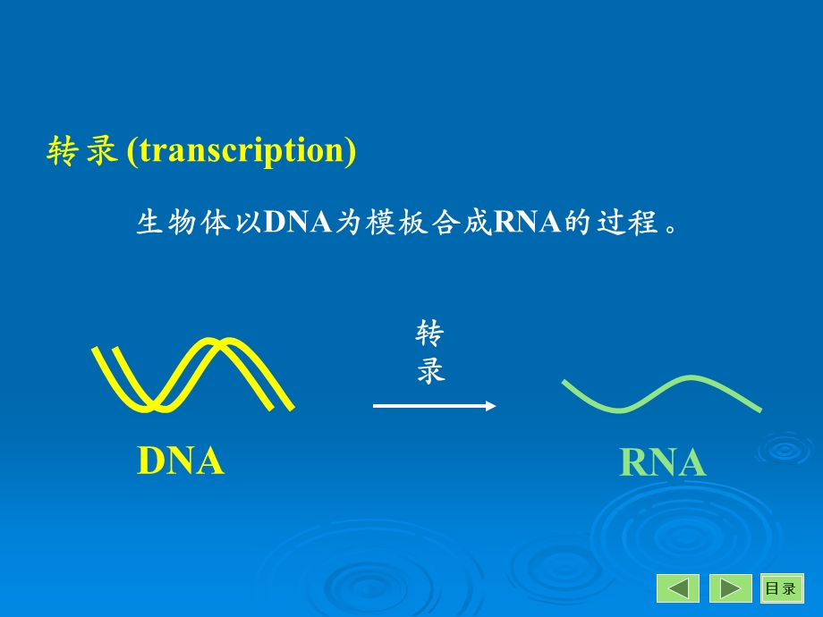 第12章转录.ppt_第2页