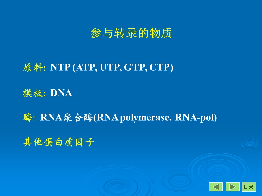 第12章转录.ppt_第3页