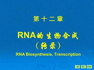 第12章转录.ppt