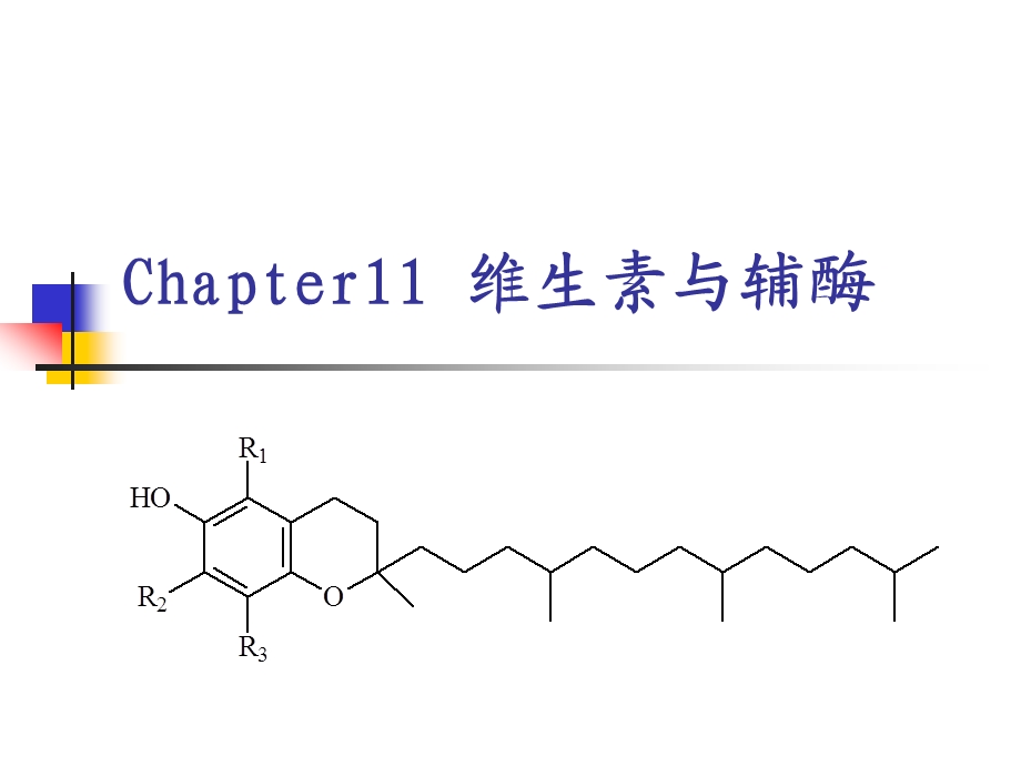 第11章维生素、辅酶.ppt_第1页