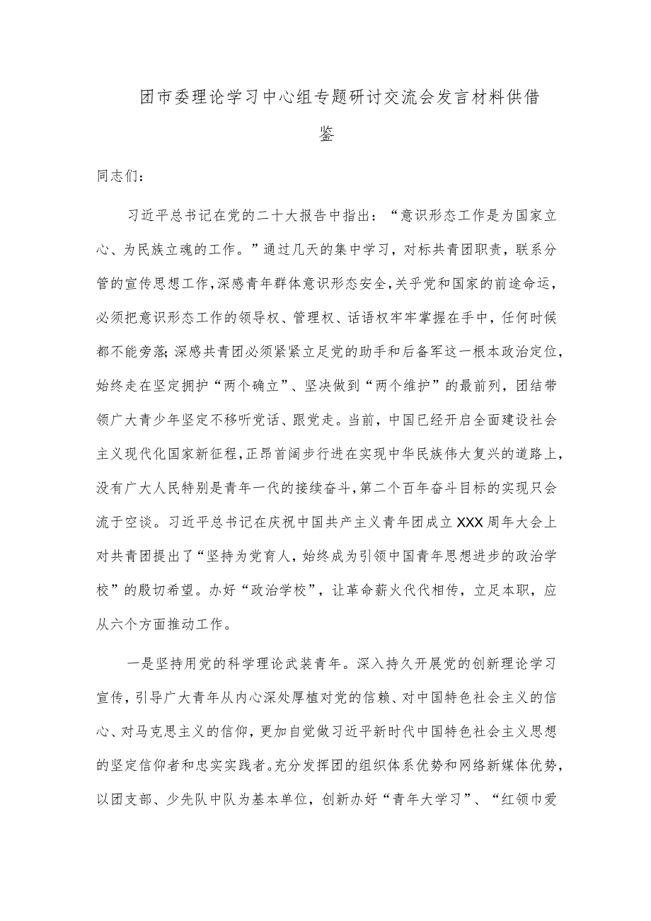 团市委理论学习中心组专题研讨交流会发言材料供借鉴.docx_第1页