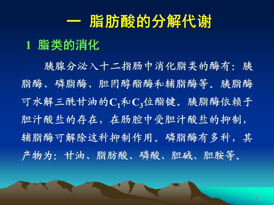 第11章脂质代谢.ppt_第2页