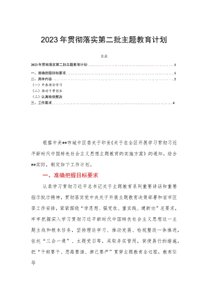 2023年贯彻落实第二批主题教育计划.docx