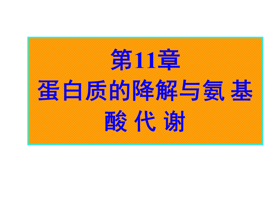 第11章蛋白质降解与氨基酸代谢.ppt_第1页