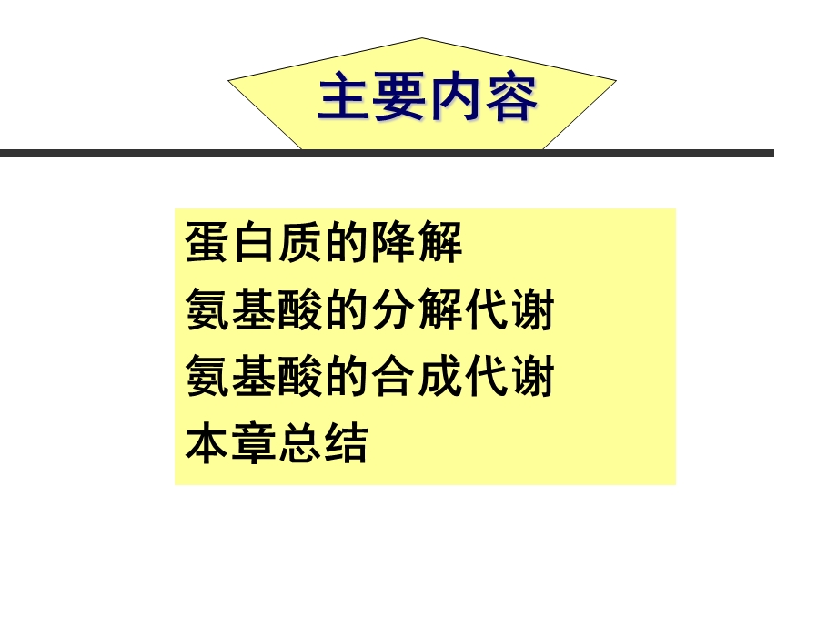 第11章蛋白质降解与氨基酸代谢.ppt_第2页