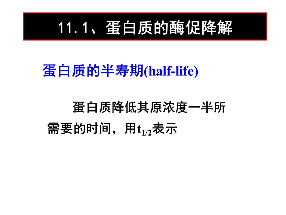 第11章蛋白质降解与氨基酸代谢.ppt_第3页