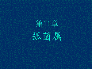 第11章弧菌.ppt