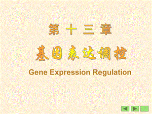 第13章基因表达调控LT.ppt