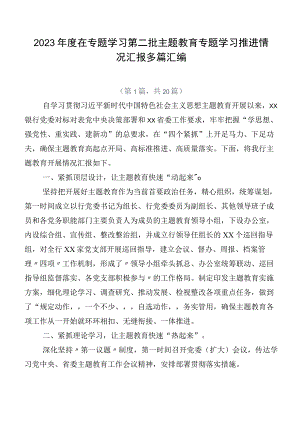 2023年度在专题学习第二批主题教育专题学习推进情况汇报多篇汇编.docx