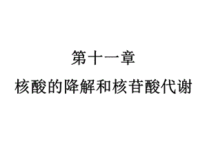 第12章核酸的降解和核苷酸代谢.ppt