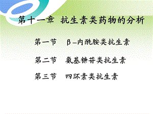 第12章抗生素类药物的分析.ppt