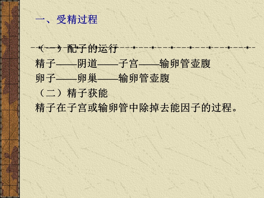 第12章生殖系统.ppt_第3页