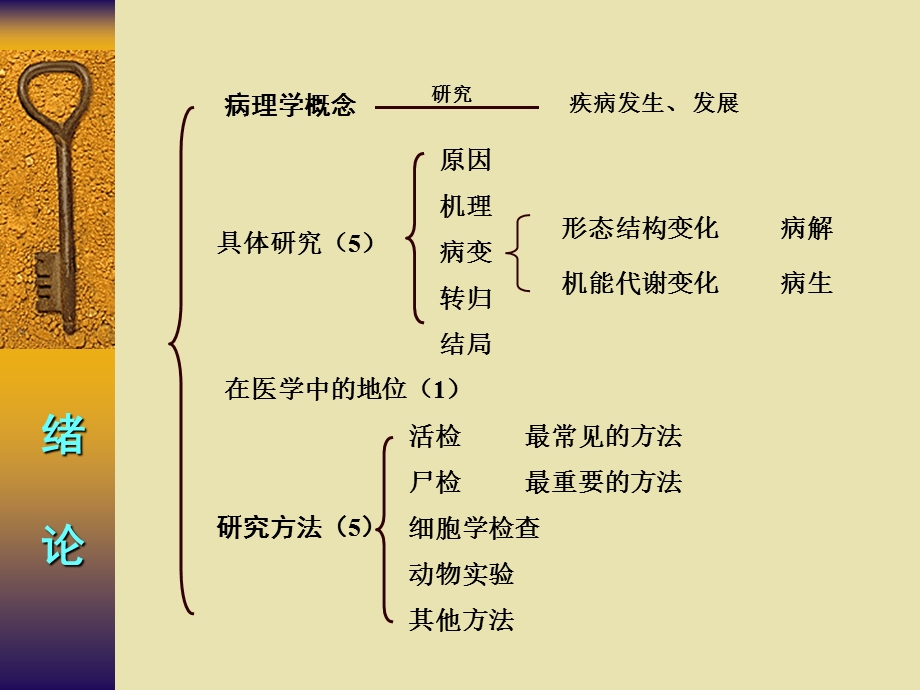 病解知识点解析临医7版名师编辑PPT课件.ppt_第2页