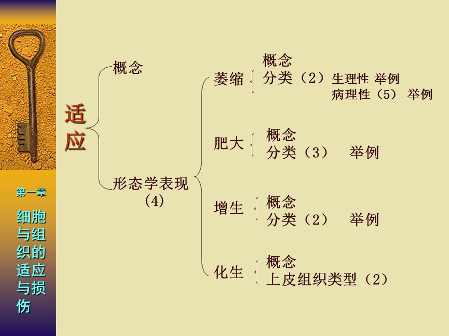 病解知识点解析临医7版名师编辑PPT课件.ppt_第3页