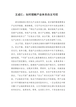 王成仁：如何理解产业体系自主可控 .docx