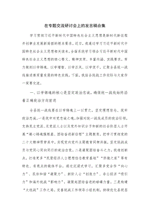 在专题交流研讨会上的发言稿合集.docx