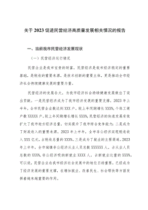 关于2023促进民营经济高质量发展相关情况的报告.docx