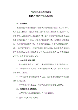 XX电力工程有限公司202X年度财务情况说明书(2023年).docx