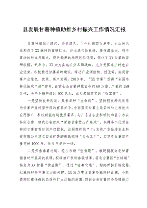 县发展甘薯种植助推乡村振兴工作情况汇报.docx