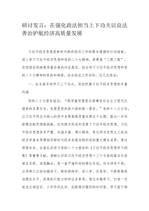 研讨发言：在强化政法担当上下功夫 以良法善治护航经济高质量发展.docx