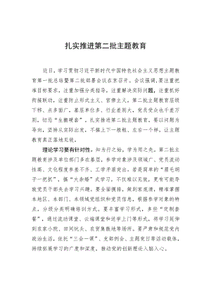 扎实推进第二批主题教育 .docx