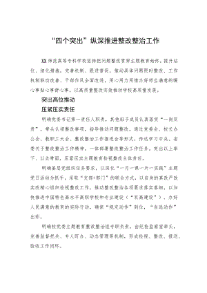 “四个突出”纵深推进整改整治工作 .docx