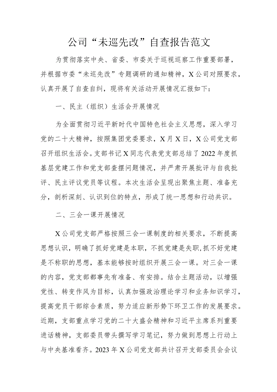 公司“未巡先改”自查报告范文.docx_第1页