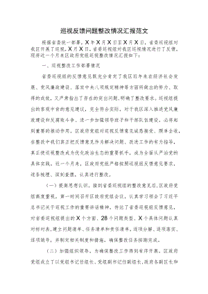 巡视反馈问题整改情况汇报范文.docx