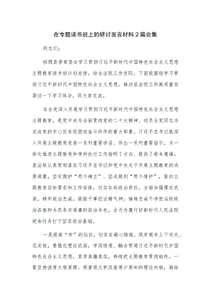 在专题读书班上的研讨发言材料2篇合集.docx