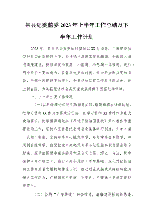 某县纪委监委2023年上半年工作总结及下半年工作计划.docx