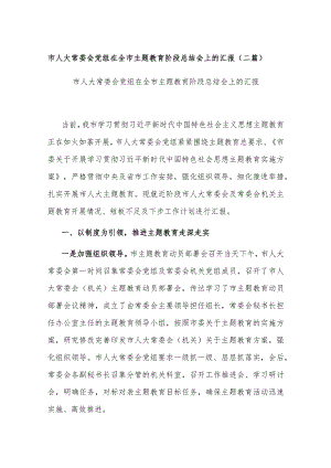 市人大常委会党组在全市主题教育阶段总结会上的汇报(二篇).docx