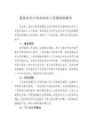 某某市关于全市治水工作情况的报告.docx